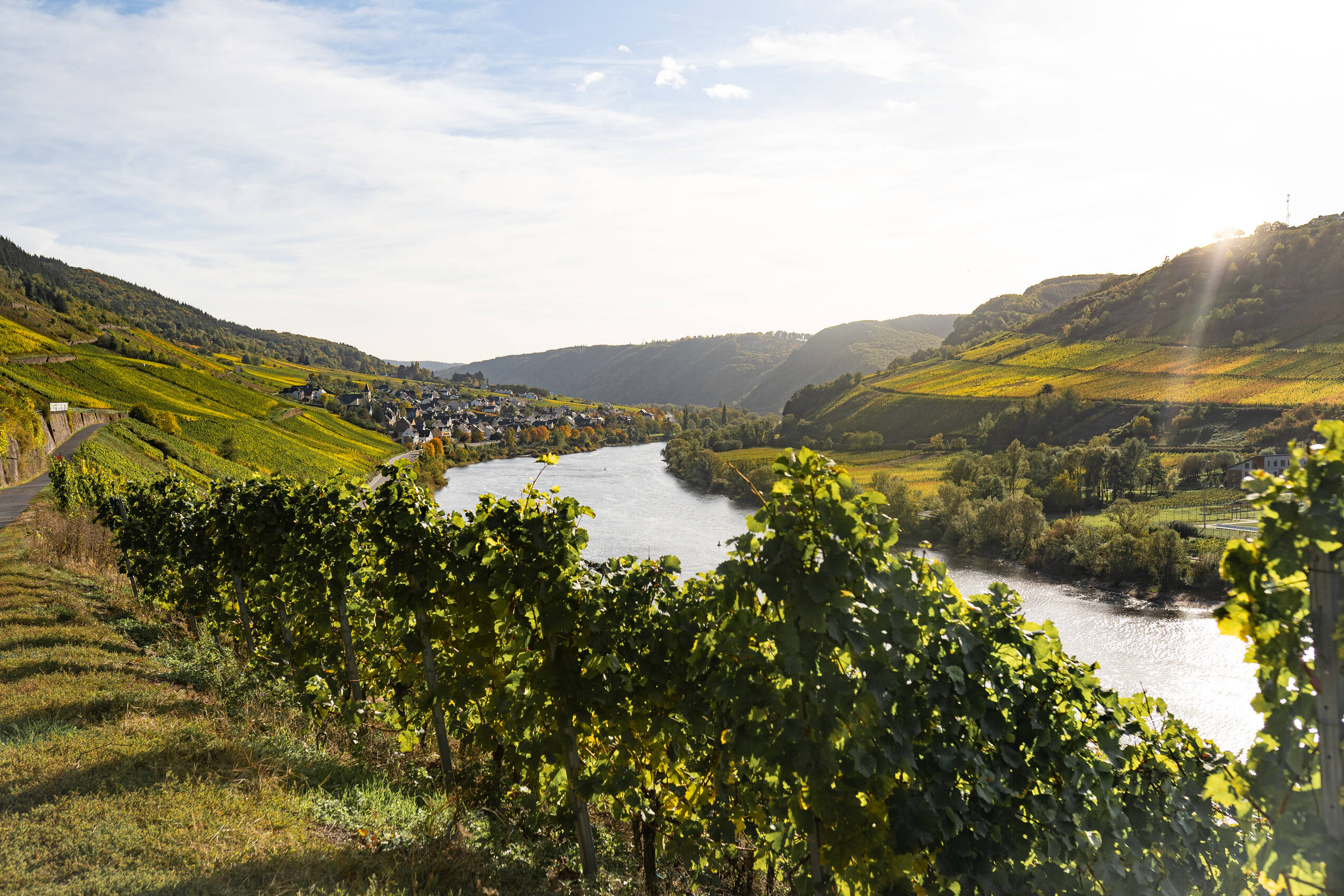 ZM Weinberge Mosel 004