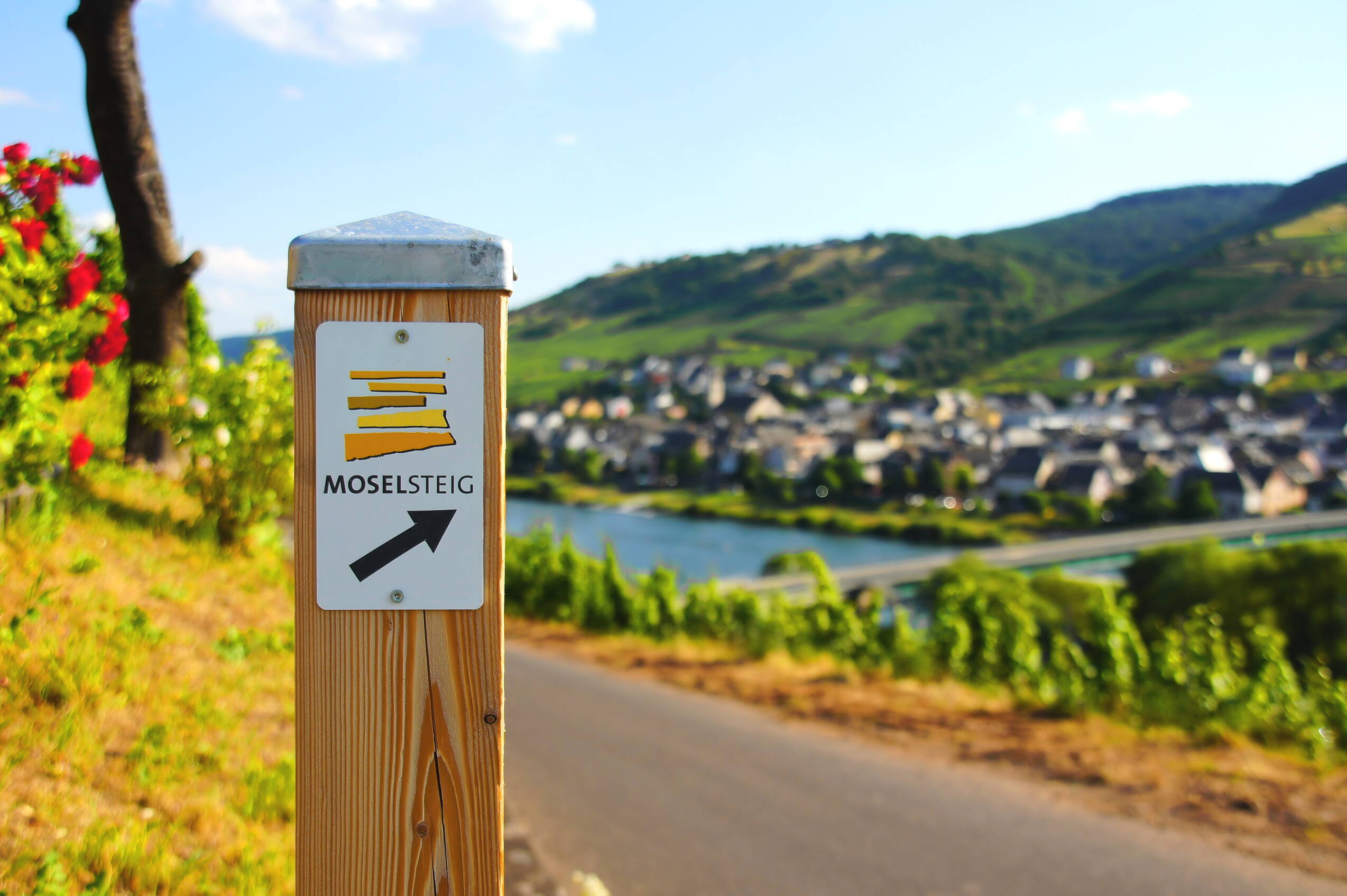Schild Moselsteig C beatuerk AdobeStock 75450560